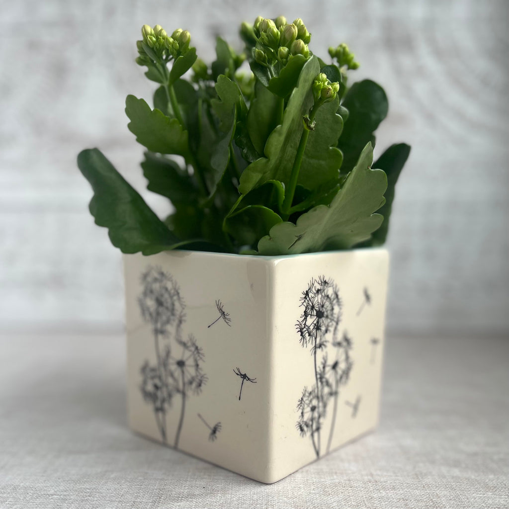 Dandelion Planter