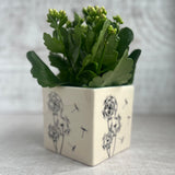 Dandelion Planter