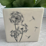 Dandelion Planter