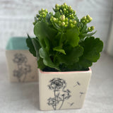 Dandelion Planter
