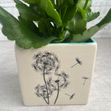 Dandelion Planter