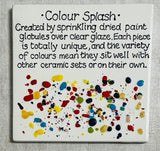 ColourSplash Oval Serving Platter