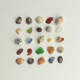Trevone Mini Grid