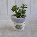 Teachers Spotty Dotty Mug/ Planter or Pen pot