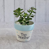 Teachers Spotty Dotty Mug/ Planter or Pen pot