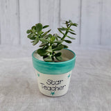 Teachers Spotty Dotty Mug/ Planter or Pen pot