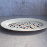 ColourSplash Oval Serving Tray